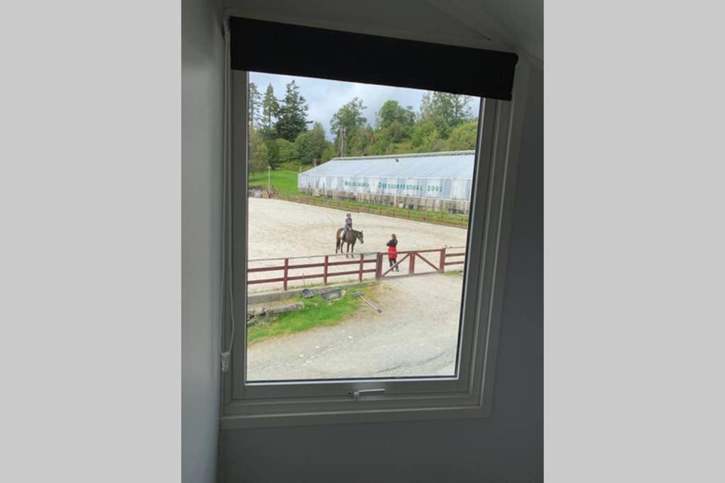 Moldegaard Riding Lodge Moldegard ภายนอก รูปภาพ